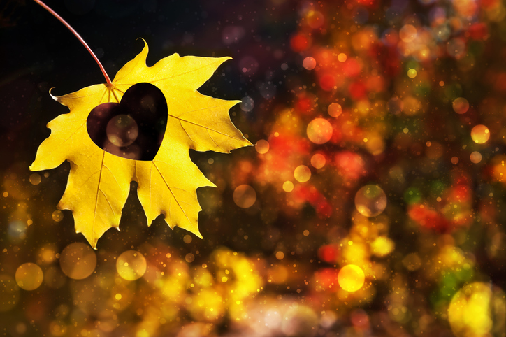 Autumn Is Here