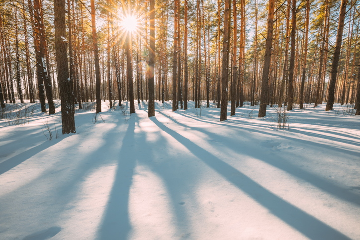 Welcoming Winter