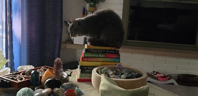 A gray cat perched on a stack of yoga and wellness books beside bowls of crystals and stones