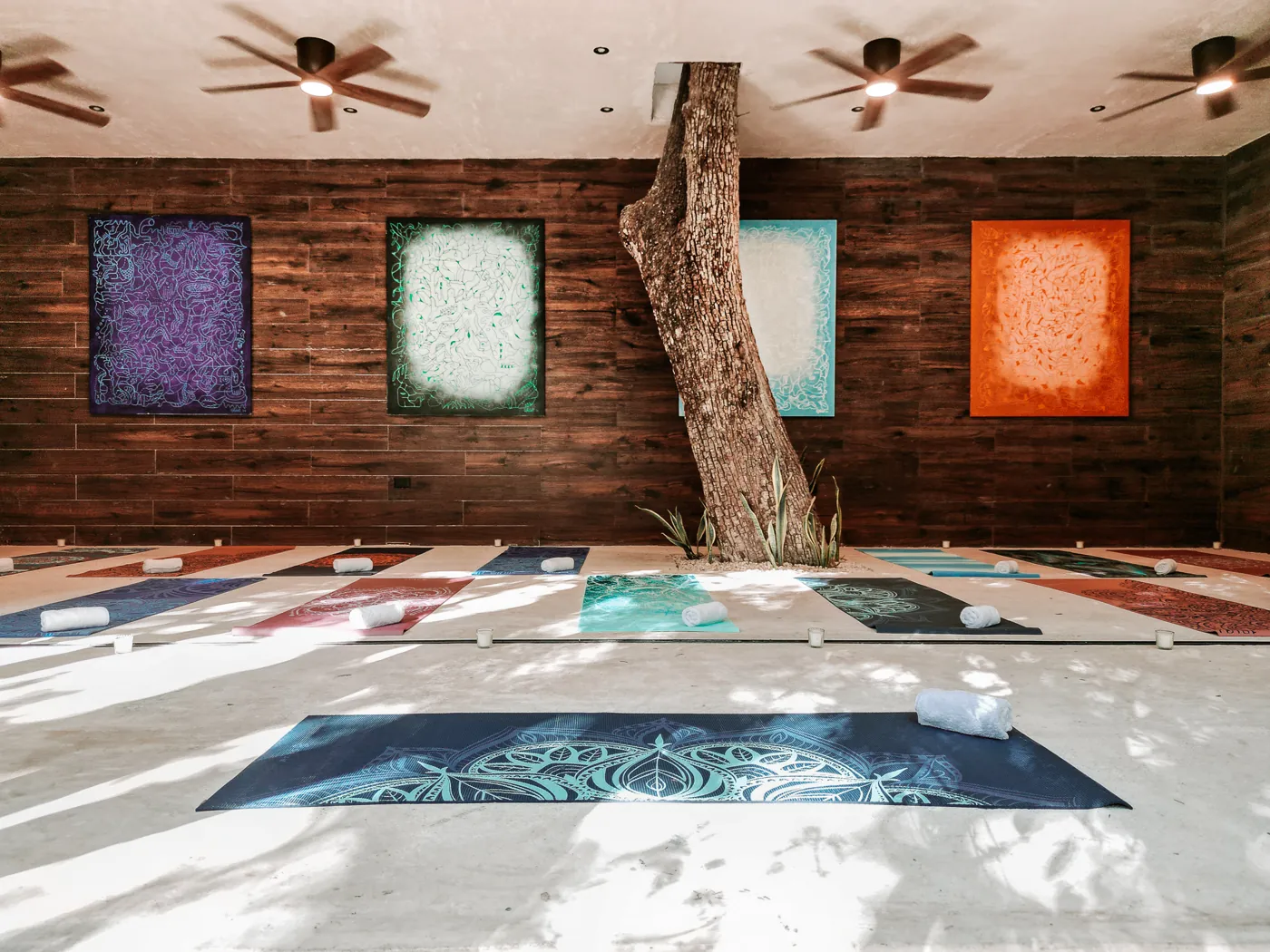 Kaaba Luum's indoor Ether Lounge set for practice, with a tree growing through the floor